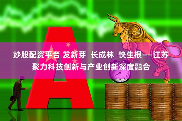 炒股配资平台 发新芽  长成林  快生根——江苏聚力科技创新与产业创新深度融合