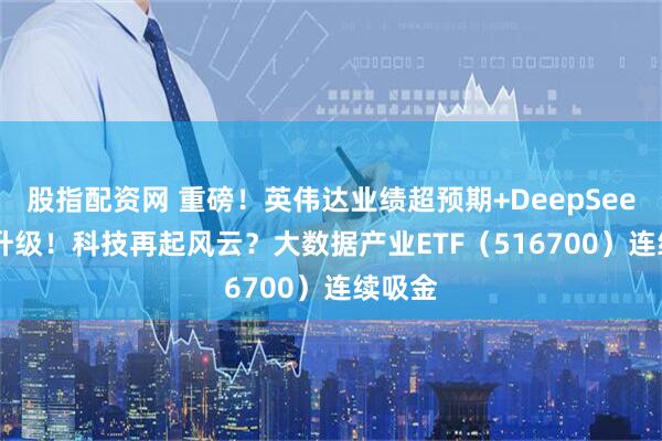 股指配资网 重磅！英伟达业绩超预期+DeepSeek-R1升级！科技再起风云？大数据产业ETF（516700）连续吸金