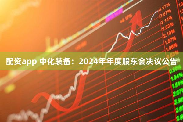 配资app 中化装备：2024年年度股东会决议公告