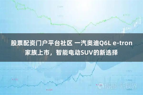 股票配资门户平台社区 一汽奥迪Q6L e-tron家族上市，智能电动SUV的新选择