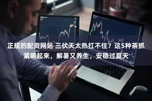正规的配资网站 三伏天太热扛不住？这5种茶抓紧喝起来，解暑又养生，安稳过夏天